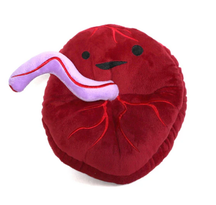 I Heart Guts - Placenta plush