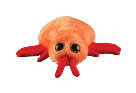 Giant Microbes Bed bug (bedluis)