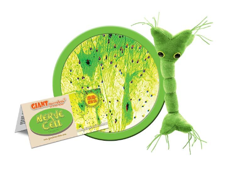 Giant Microbes Nerve cell (zenuwcel of neuron)