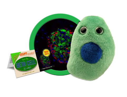 Giant Microbes Diabetes Beta Cell (Insuline)