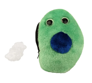 Giant Microbes Diabetes Beta Cell (Insuline)