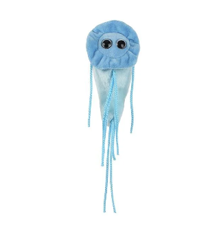 Giant Microbes GiardiaGiant Microbes Giardia