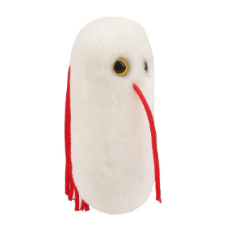 Giant Microbes plush version of Salmonella (Salmonella Typhimurium)