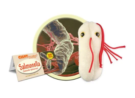 Giant Microbes plush version of Salmonella (Salmonella Typhimurium)