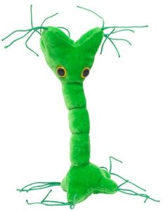 Giant Microbes Nerve cell (zenuwcel of neuron)