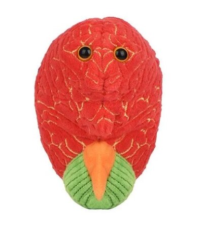 Giant Microbes Plush - Science Biology ADHDGiant Microbes Plush - Science Biology ADHD