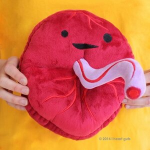 I Heart Guts - Placenta plush