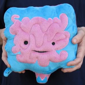 plush appendix