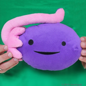 ovary plush