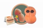 giant microbes legionella